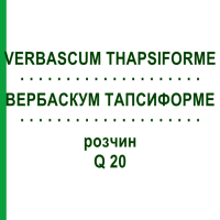ВЕРБАСКУМ ТАПСИФОРМЕ (VERBASCUM THAPSIFORME) Q 20 розчин 15 мл - Гомеопатія GUDJONS
