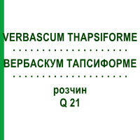 ВЕРБАСКУМ ТАПСИФОРМЕ (VERBASCUM THAPSIFORME) Q 21 розчин 15 мл - Гомеопатія GUDJONS
