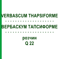 ВЕРБАСКУМ ТАПСИФОРМЕ (VERBASCUM THAPSIFORME) Q 22 розчин 15 мл - Гомеопатія GUDJONS
