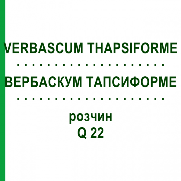 ВЕРБАСКУМ ТАПСИФОРМЕ (VERBASCUM THAPSIFORME) Q 22 раствор 15 мл - Гомеопатия GUDJONS