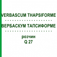 ВЕРБАСКУМ ТАПСИФОРМЕ (VERBASCUM THAPSIFORME) Q 27 раствор 15 мл - Гомеопатия GUDJONS