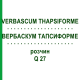 ВЕРБАСКУМ ТАПСИФОРМЕ (VERBASCUM THAPSIFORME) Q 27 розчин 15 мл - Гомеопатія GUDJONS