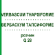 ВЕРБАСКУМ ТАПСИФОРМЕ (VERBASCUM THAPSIFORME) Q 28 розчин 15 мл - Гомеопатія GUDJONS