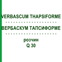 ВЕРБАСКУМ ТАПСИФОРМЕ (VERBASCUM THAPSIFORME) Q 30 розчин 15 мл - Гомеопатія GUDJONS