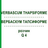 ВЕРБАСКУМ ТАПСИФОРМЕ (VERBASCUM THAPSIFORME) Q 4 розчин 15 мл - Гомеопатія GUDJONS