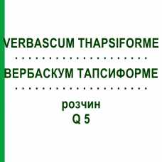 ВЕРБАСКУМ ТАПСИФОРМЕ (VERBASCUM THAPSIFORME) Q 5 розчин 15 мл - Гомеопатія GUDJONS