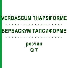 ВЕРБАСКУМ ТАПСИФОРМЕ (VERBASCUM THAPSIFORME) Q 7 розчин 15 мл - Гомеопатія GUDJONS