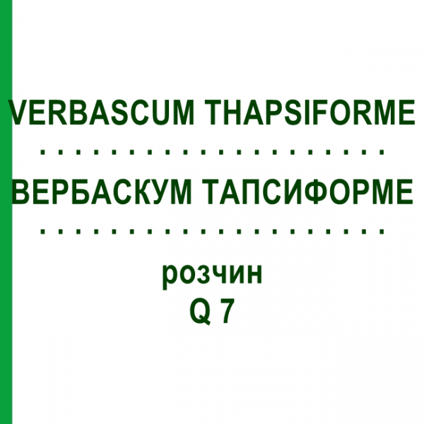 ВЕРБАСКУМ ТАПСИФОРМЕ (VERBASCUM THAPSIFORME) Q 7 розчин 15 мл - Гомеопатія GUDJONS