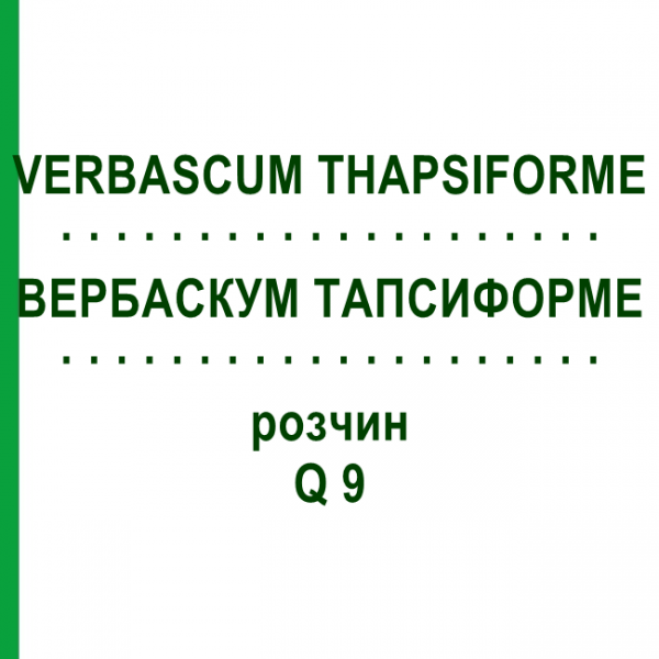 ВЕРБАСКУМ ТАПСИФОРМЕ (VERBASCUM THAPSIFORME) Q 9 розчин 15 мл - Гомеопатія GUDJONS