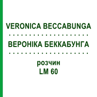 ВЕРОНІКА БЕККАБУНГА (VERONICA BECCABUNGA) LM 60 розчин 10 мл - Гомеопатія ARCANA DR.SEWERIN