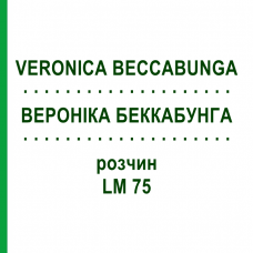 ВЕРОНІКА БЕККАБУНГА (VERONICA BECCABUNGA) LM 75 розчин 10 мл - Гомеопатія ARCANA DR.SEWERIN