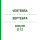 ВЕРТЕБРА (VERTEBRA) D 12 ампули 10x1 мл - Гомеопатія WALA HEILMITTEL