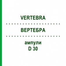 ВЕРТЕБРА (VERTEBRA) D 30 ампули 10x1 мл - Гомеопатія WALA HEILMITTEL