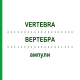 ВЕРТЕБРА (VERTEBRA) ампулы 10x1 мл - Гомеопатия WALA HEILMITTEL