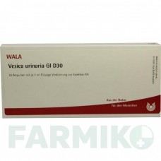 ВЕЗИКА УРИНАРИА (VESICA URINARIA) D 30 ампулы 10x1 мл - Гомеопатия WALA HEILMITTEL