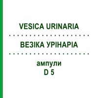 ВЕЗИКА УРИНАРИА (VESICA URINARIA) D 5 ампулы 10x1 мл - Гомеопатия WALA HEILMITTEL