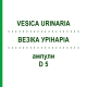 ВЕЗІКА УРІНАРІА (VESICA URINARIA) D 5 ампули 10x1 мл - Гомеопатія WALA HEILMITTEL