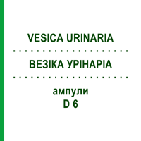 ВЕЗИКА УРИНАРИА (VESICA URINARIA) D 6 ампулы 10x1 мл - Гомеопатия WALA HEILMITTEL
