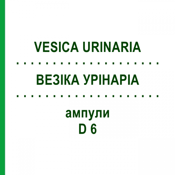ВЕЗИКА УРИНАРИА (VESICA URINARIA) D 6 ампулы 10x1 мл - Гомеопатия WALA HEILMITTEL