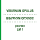 ВІБУРНУМ ОПУЛЮС (VIBURNUM OPULUS) LM 1 розчин 10 мл - Гомеопатія ARCANA DR.SEWERIN