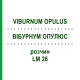 ВІБУРНУМ ОПУЛЮС (VIBURNUM OPULUS) LM 26 розчин 10 мл - Гомеопатія ARCANA DR.SEWERIN