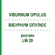 ВІБУРНУМ ОПУЛЮС (VIBURNUM OPULUS) LM 29 розчин 10 мл - Гомеопатія ARCANA DR.SEWERIN