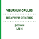ВІБУРНУМ ОПУЛЮС (VIBURNUM OPULUS) LM 4 розчин 10 мл - Гомеопатія ARCANA DR.SEWERIN