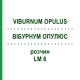 ВІБУРНУМ ОПУЛЮС (VIBURNUM OPULUS) LM 6 розчин 10 мл - Гомеопатія ARCANA DR.SEWERIN