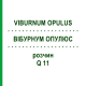 ВІБУРНУМ ОПУЛЮС (VIBURNUM OPULUS) Q 11 розчин 15 мл - Гомеопатія GUDJONS