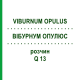 ВІБУРНУМ ОПУЛЮС (VIBURNUM OPULUS) Q 13 розчин 15 мл - Гомеопатія GUDJONS