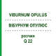 ВІБУРНУМ ОПУЛЮС (VIBURNUM OPULUS) Q 22 розчин 15 мл - Гомеопатія GUDJONS