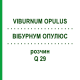 ВІБУРНУМ ОПУЛЮС (VIBURNUM OPULUS) Q 29 розчин 15 мл - Гомеопатія GUDJONS