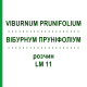 ВІБУРНУМ ПРУНІФОЛІУМ (VIBURNUM PRUNIFOLIUM) LM 11 розчин 10 мл - Гомеопатія ARCANA DR.SEWERIN