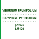 ВІБУРНУМ ПРУНІФОЛІУМ (VIBURNUM PRUNIFOLIUM) LM 120 розчин 10 мл - Гомеопатія ARCANA DR.SEWERIN
