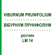 ВІБУРНУМ ПРУНІФОЛІУМ (VIBURNUM PRUNIFOLIUM) LM 14 розчин 10 мл - Гомеопатія ARCANA DR.SEWERIN