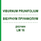 ВІБУРНУМ ПРУНІФОЛІУМ (VIBURNUM PRUNIFOLIUM) LM 16 розчин 10 мл - Гомеопатія ARCANA DR.SEWERIN