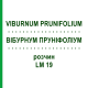 ВІБУРНУМ ПРУНІФОЛІУМ (VIBURNUM PRUNIFOLIUM) LM 19 розчин 10 мл - Гомеопатія ARCANA DR.SEWERIN
