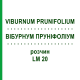ВІБУРНУМ ПРУНІФОЛІУМ (VIBURNUM PRUNIFOLIUM) LM 20 розчин 10 мл - Гомеопатія ARCANA DR.SEWERIN