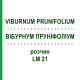 ВІБУРНУМ ПРУНІФОЛІУМ (VIBURNUM PRUNIFOLIUM) LM 21 розчин 10 мл - Гомеопатія ARCANA DR.SEWERIN