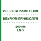 ВІБУРНУМ ПРУНІФОЛІУМ (VIBURNUM PRUNIFOLIUM) LM 5 розчин 10 мл - Гомеопатія ARCANA DR.SEWERIN
