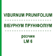 ВІБУРНУМ ПРУНІФОЛІУМ (VIBURNUM PRUNIFOLIUM) LM 6 розчин 10 мл - Гомеопатія ARCANA DR.SEWERIN