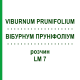 ВІБУРНУМ ПРУНІФОЛІУМ (VIBURNUM PRUNIFOLIUM) LM 7 розчин 10 мл - Гомеопатія ARCANA DR.SEWERIN