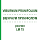 ВІБУРНУМ ПРУНІФОЛІУМ (VIBURNUM PRUNIFOLIUM) LM 75 розчин 10 мл - Гомеопатія ARCANA DR.SEWERIN