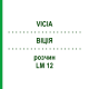 ВІЦІЯ (VICIA) LM 12 розчин 10 мл - Гомеопатія ARCANA DR.SEWERIN