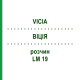 ВІЦІЯ (VICIA) LM 19 розчин 10 мл - Гомеопатія ARCANA DR.SEWERIN