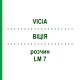 ВІЦІЯ (VICIA) LM 7 розчин 10 мл - Гомеопатія ARCANA DR.SEWERIN