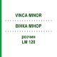 ВІНКА МІНОР (VINCA MINOR) LM 120 розчин 10 мл - Гомеопатія ARCANA DR.SEWERIN