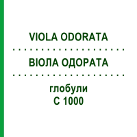 ВИОЛА ОДОРАТА (VIOLA ODORATA) C 1000 глобули 1,5 г - Гомеопатия GUDJONS