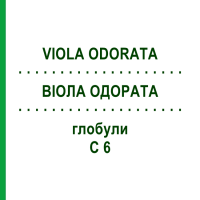 ВИОЛА ОДОРАТА (VIOLA ODORATA) C 6 глобули 1,5 г - Гомеопатия GUDJONS