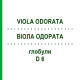 ВИОЛА ОДОРАТА (VIOLA ODORATA) D 6 глобули 10 г - Гомеопатия DHU
